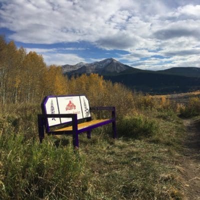 lupine-bench-2